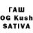 ГАШ гарик shingi kasai