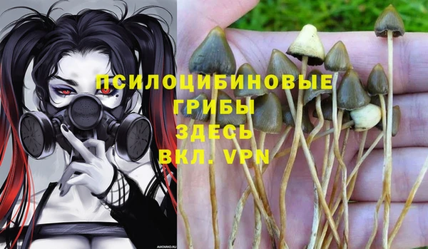 ешки Баксан