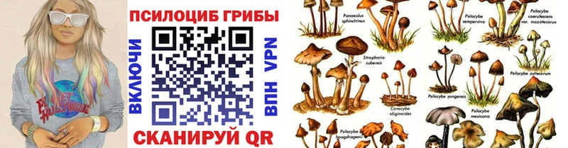 Галлюциногенные грибы Magic Shrooms  где купить наркотик  Белогорск 