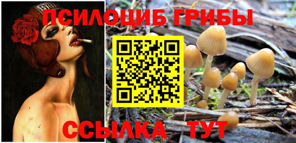 Белогорск  Псилоцибиновые грибы Cubensis  Вход с VPN 