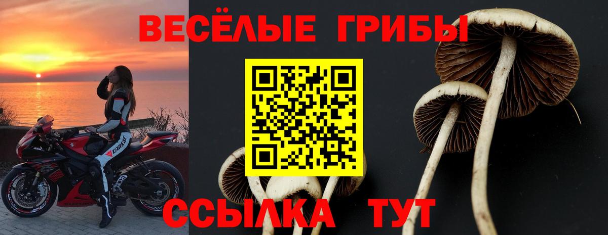 Псилоцибиновые грибы мухоморы Белогорск